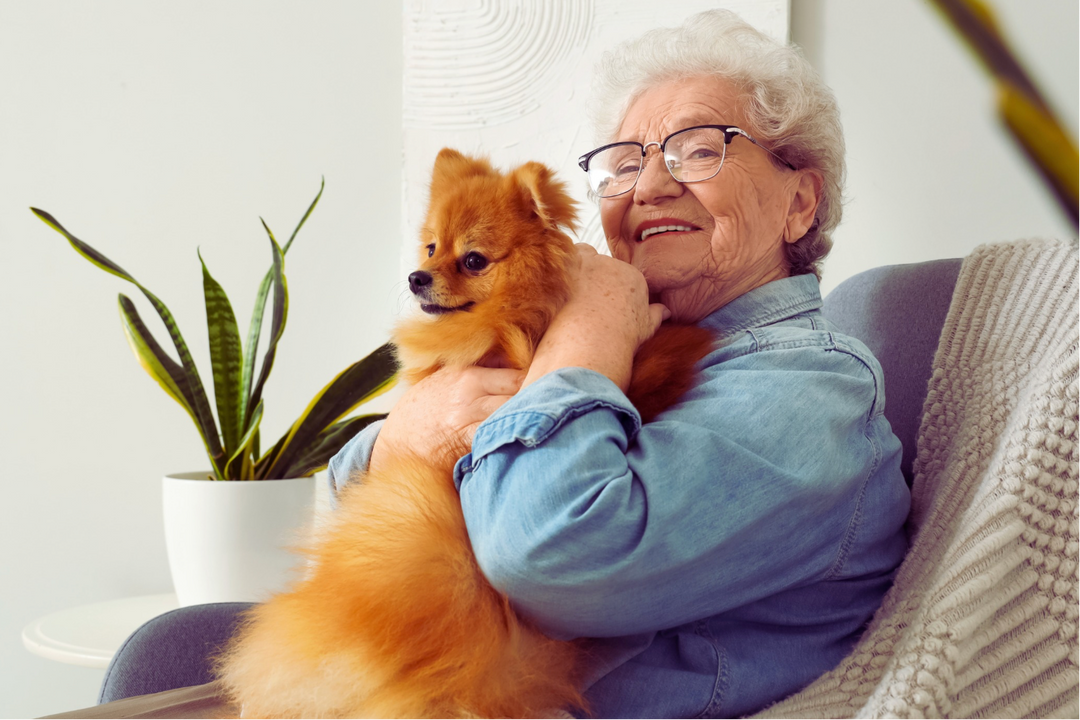 What Every Senior Pet Owner Should Have in Place for Their Pet